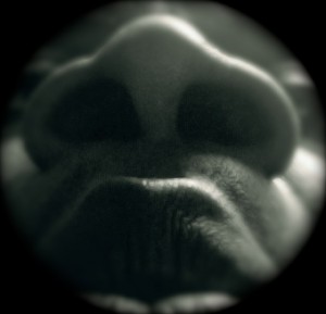 Photo on 2011-01-19 at 10.59